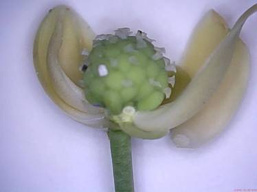 35742244_10211966218533608_3335160964268949504_o